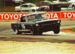 Demo's Shelby